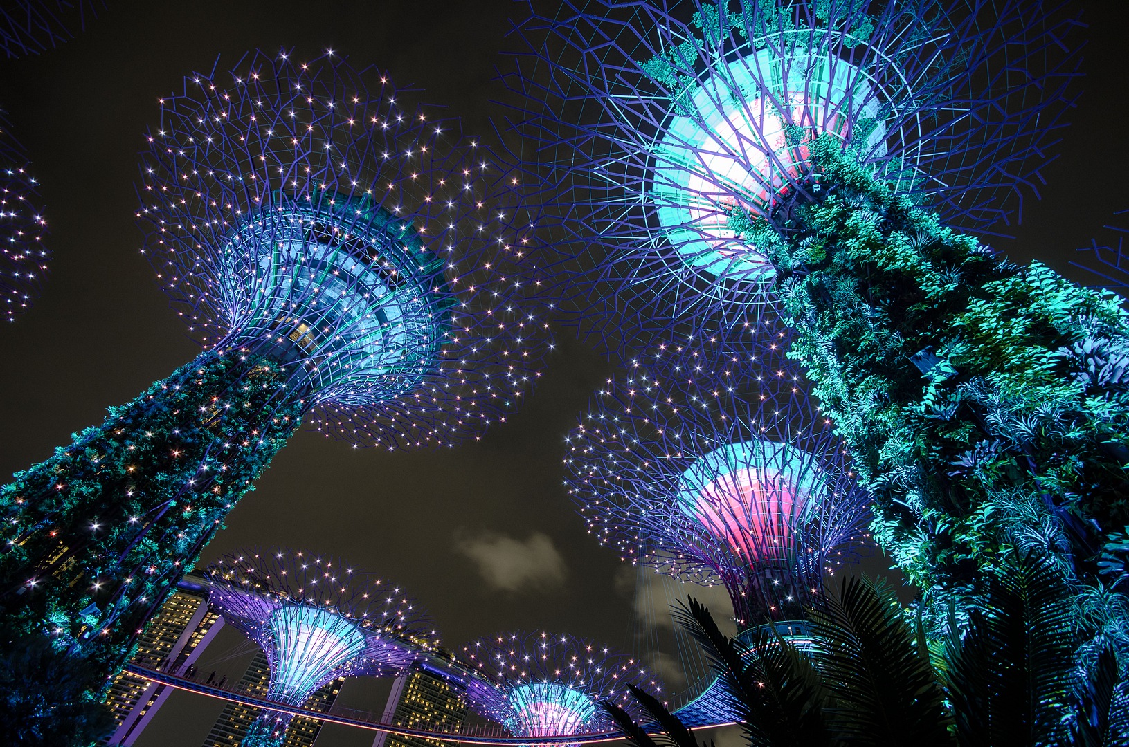 gardens by the bay