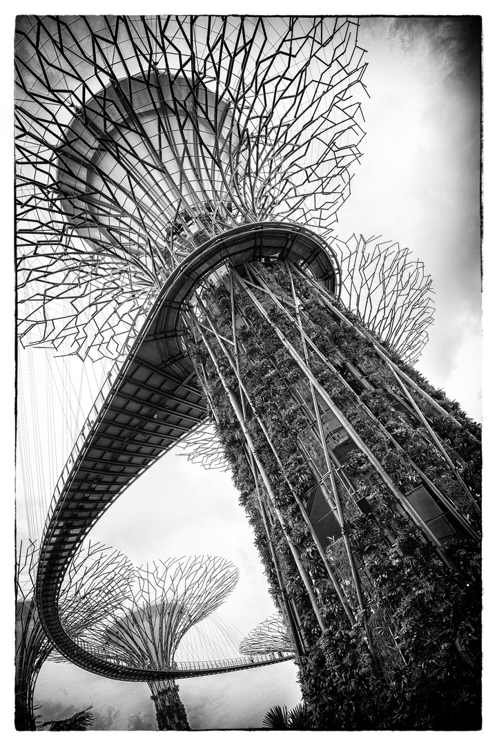 Gardens by the Bay