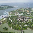 Gardens by the bay