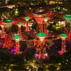  Gardens by the Bay in Rot 