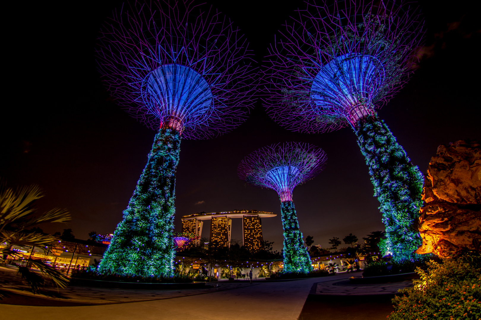 Gardens by the Bay - Lightshow