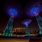 Gardens by the Bay - Lightshow