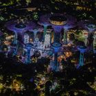 Gardens by the Bay Singapore