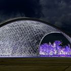 Gardens by the bay Singapore