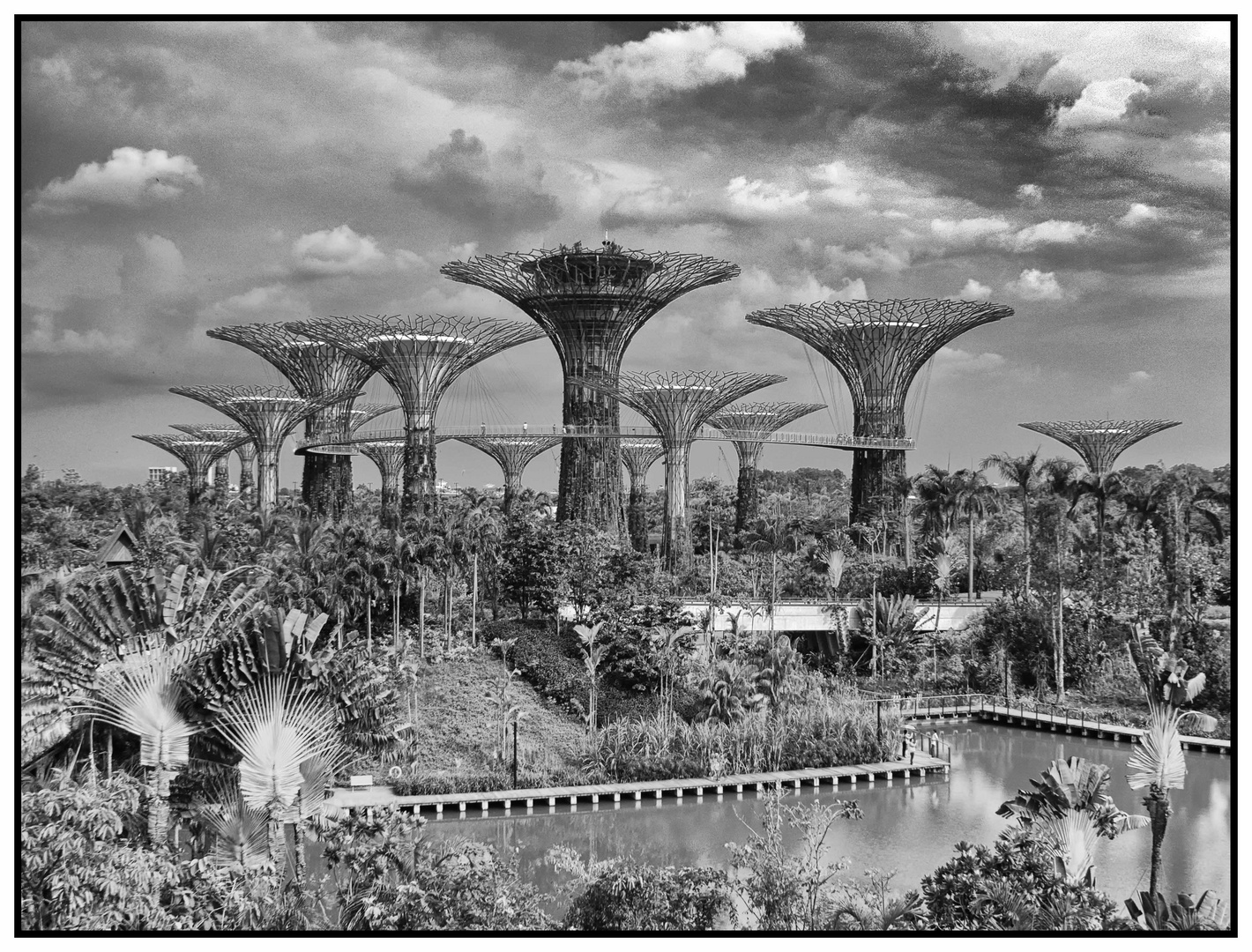 Gardens by the Bay , Singapore