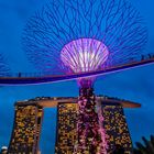 Gardens by the bay, Singapore