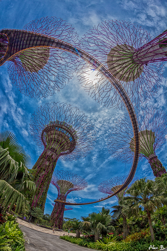 Gardens by the Bay - Singapur 2013