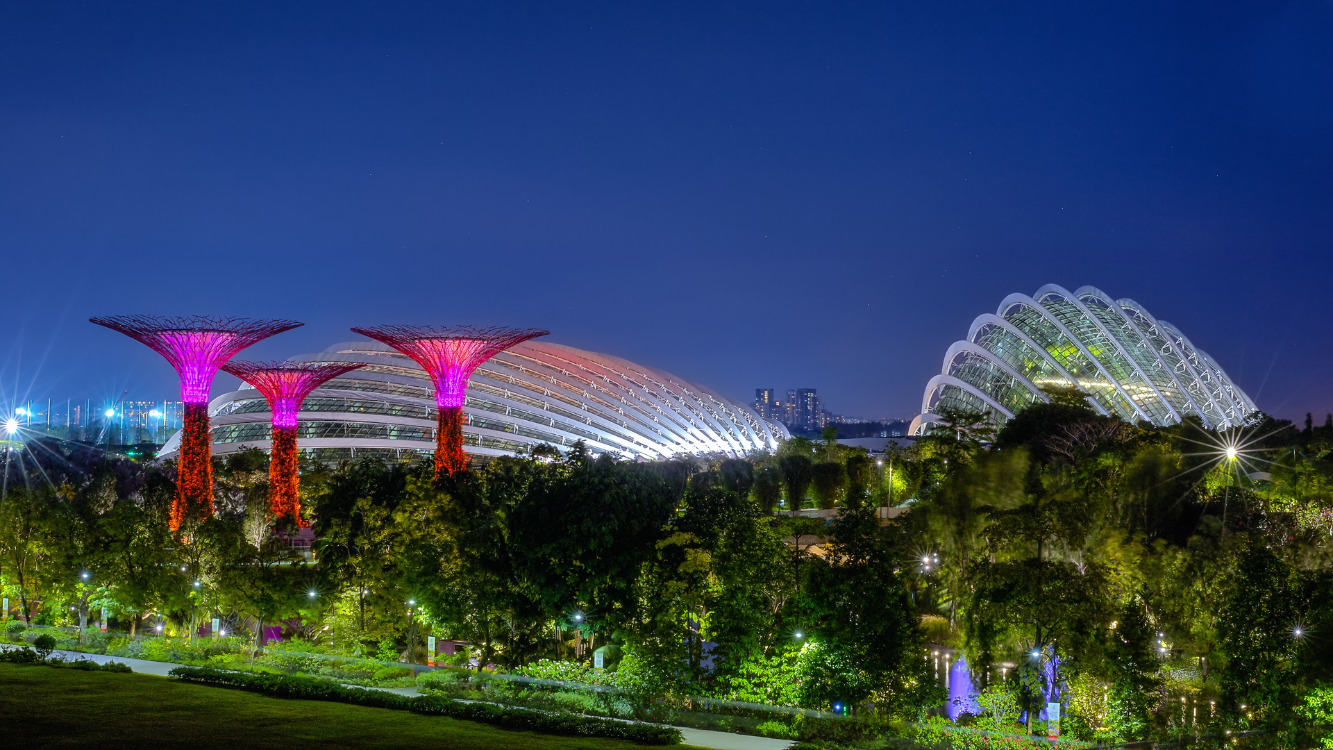 Gardens by the Bay, Singapur