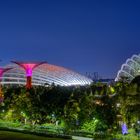 Gardens by the Bay, Singapur