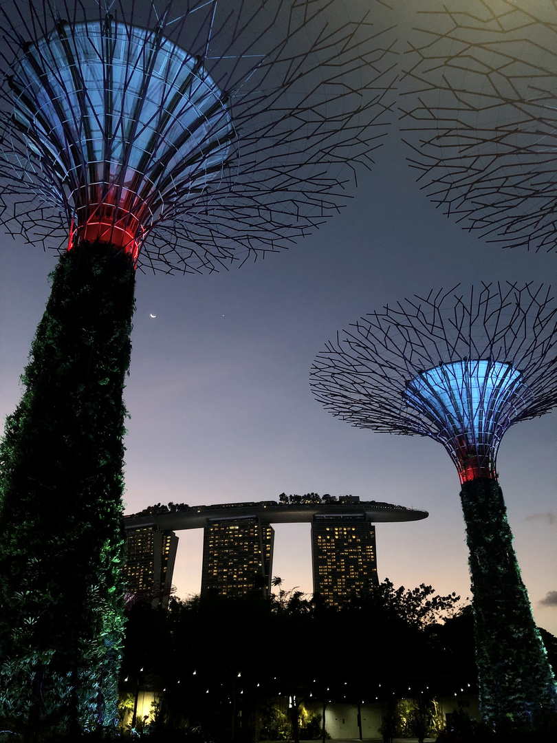 "Gardens by the Bay" / Singapur