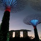 "Gardens by the Bay" / Singapur
