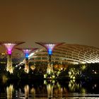 Gardens by the Bay, Singapur