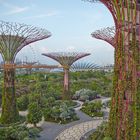 Gardens by the Bay - the Skywalk