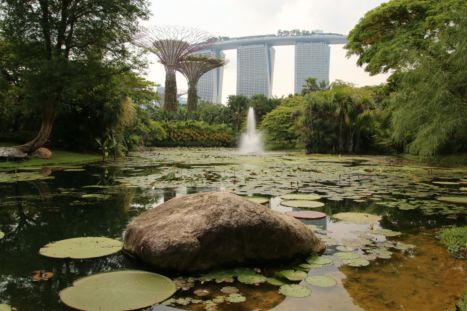 Gardens by the Bay with Marina Bay Sands Hotel