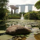 Gardens by the Bay with Marina Bay Sands Hotel