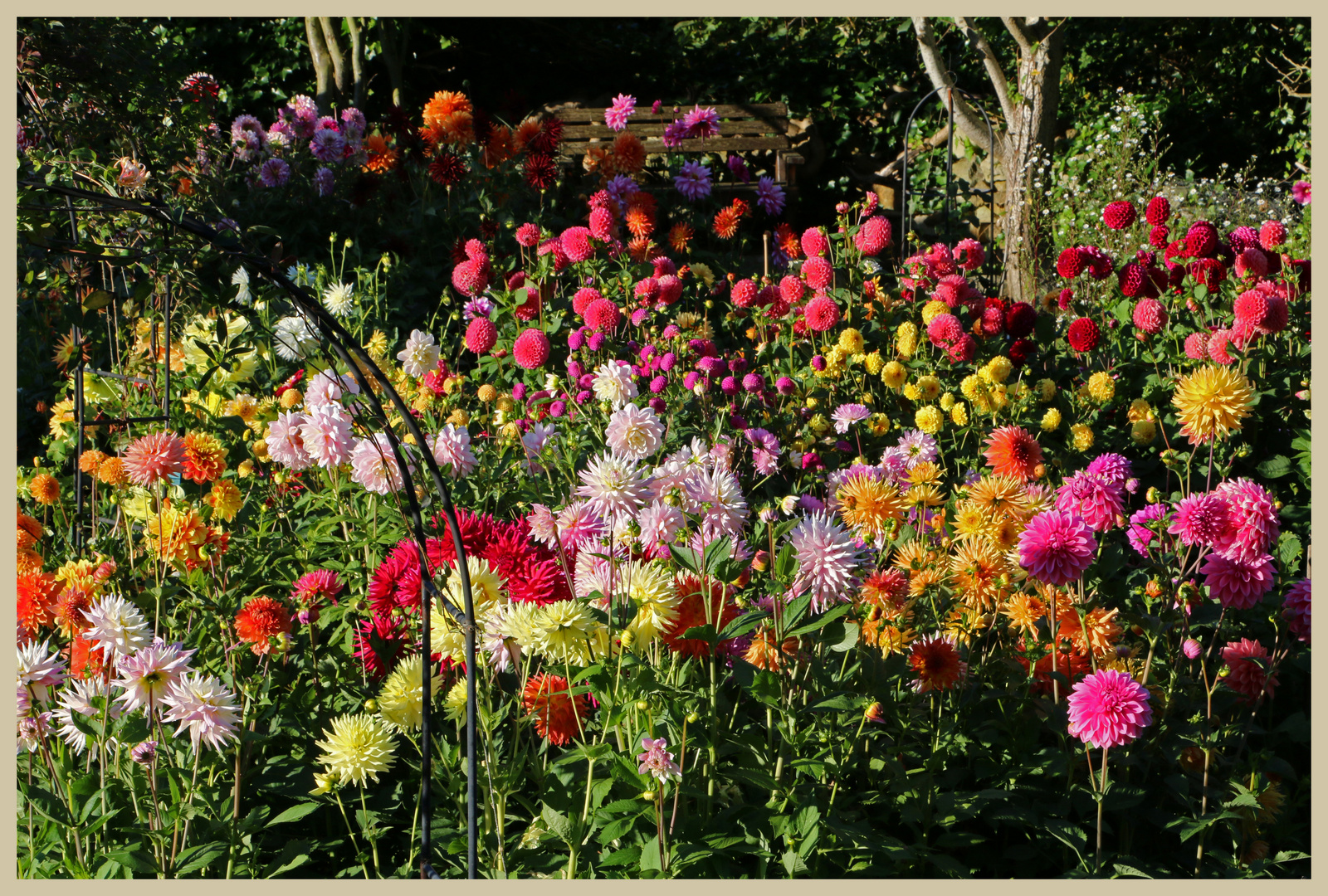 gardens in wensley