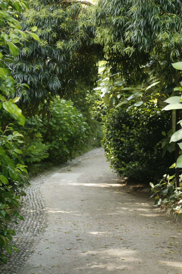 Gardens of Heligan