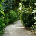 Gardens of Heligan