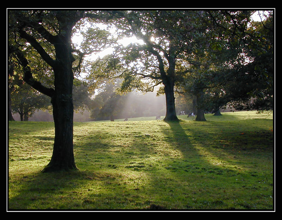 Gardens of Houston House(4)