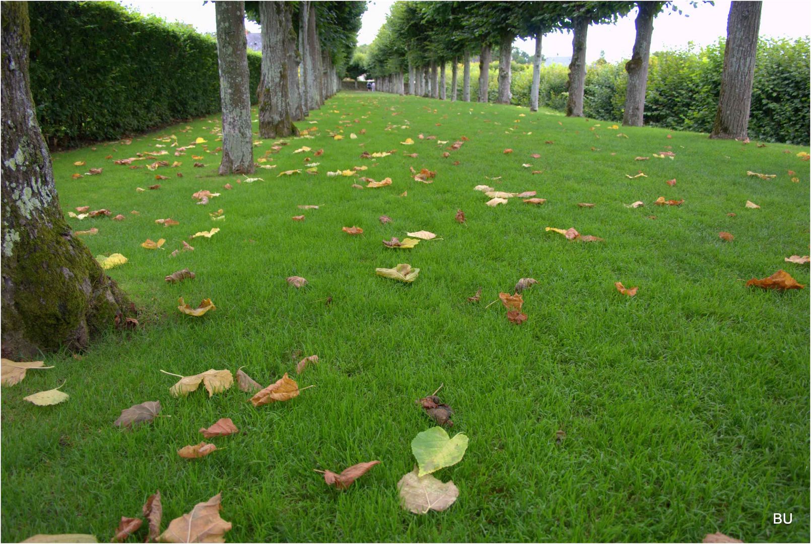 Gardens Villandry, August.