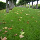 Gardens Villandry, August.