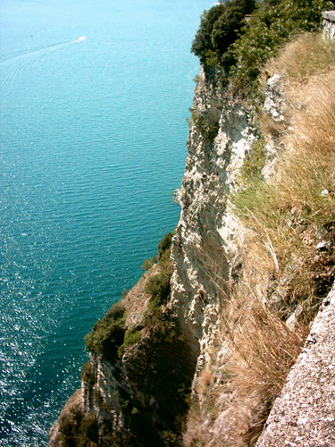 Gardersee limone di Garda