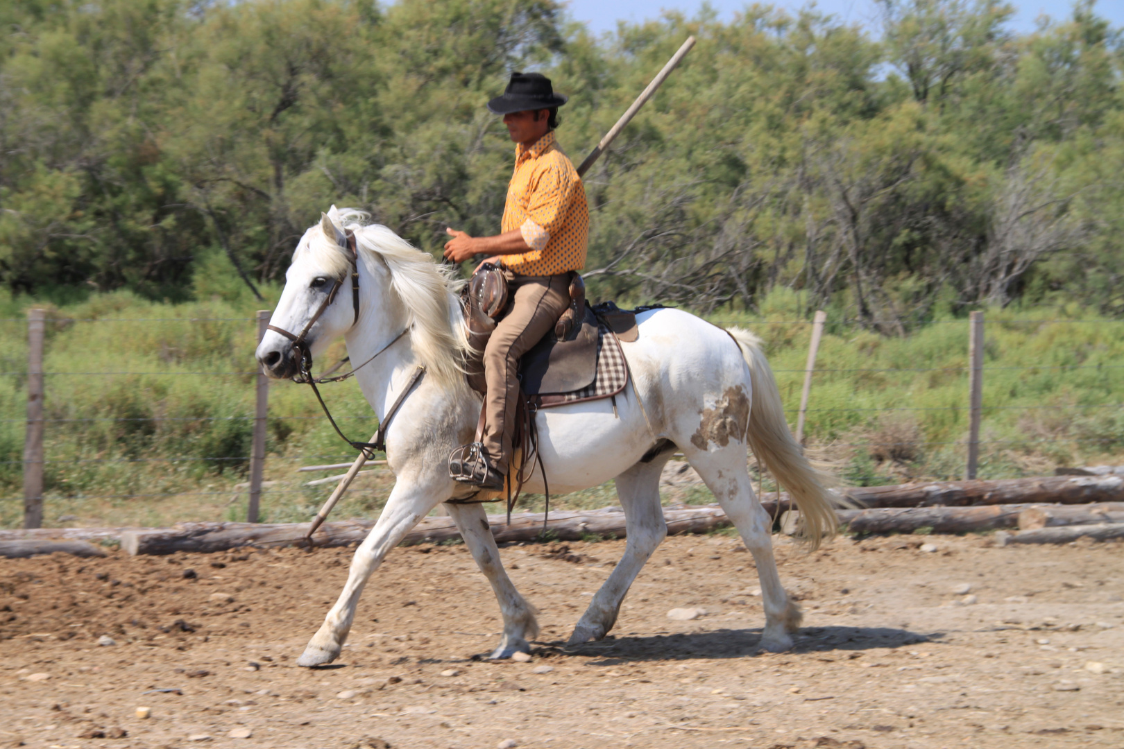 Gardian in der Camargue