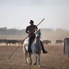 Gardians de Camargue