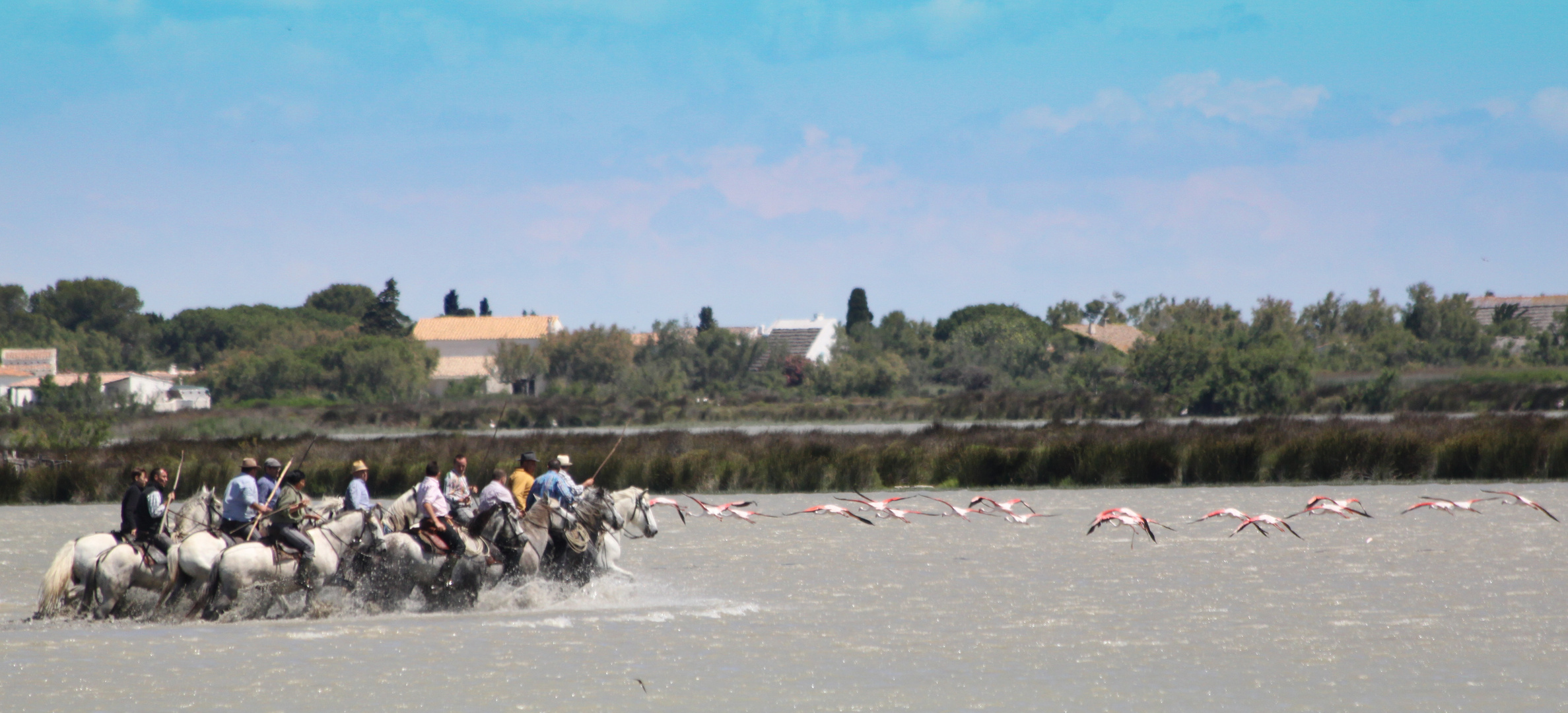 Gardians in der Camargue