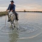 Gardien de Camargue