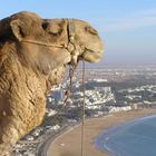 Gardien de la plage d'Agadir