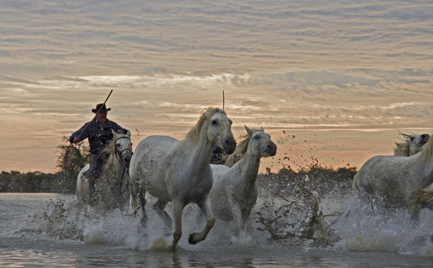 Gardiens de Camargue