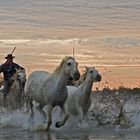 Gardiens de Camargue