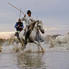 Gardiens de Camargue