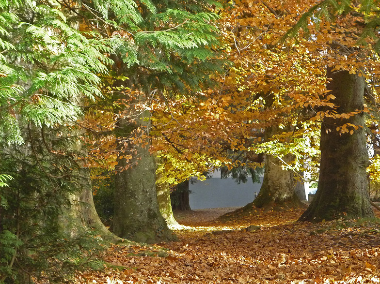 Gardiens du passage