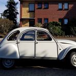 Gardinchen in Entchen