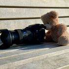 User Profile Photo