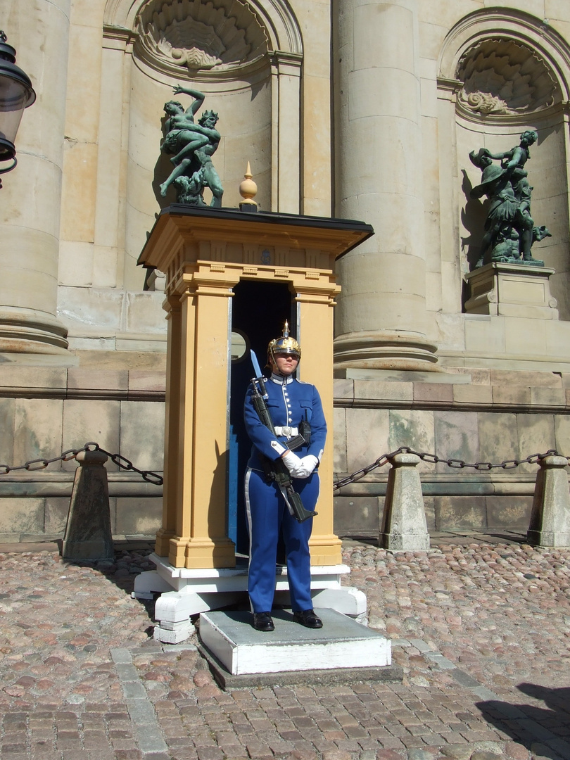 Gardistin vor dem Koenigspalast