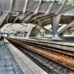 ...Gare de Guillemins