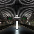 Gare de Guillemins IV