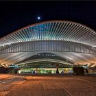 Gare de Guillemins - Lüttich