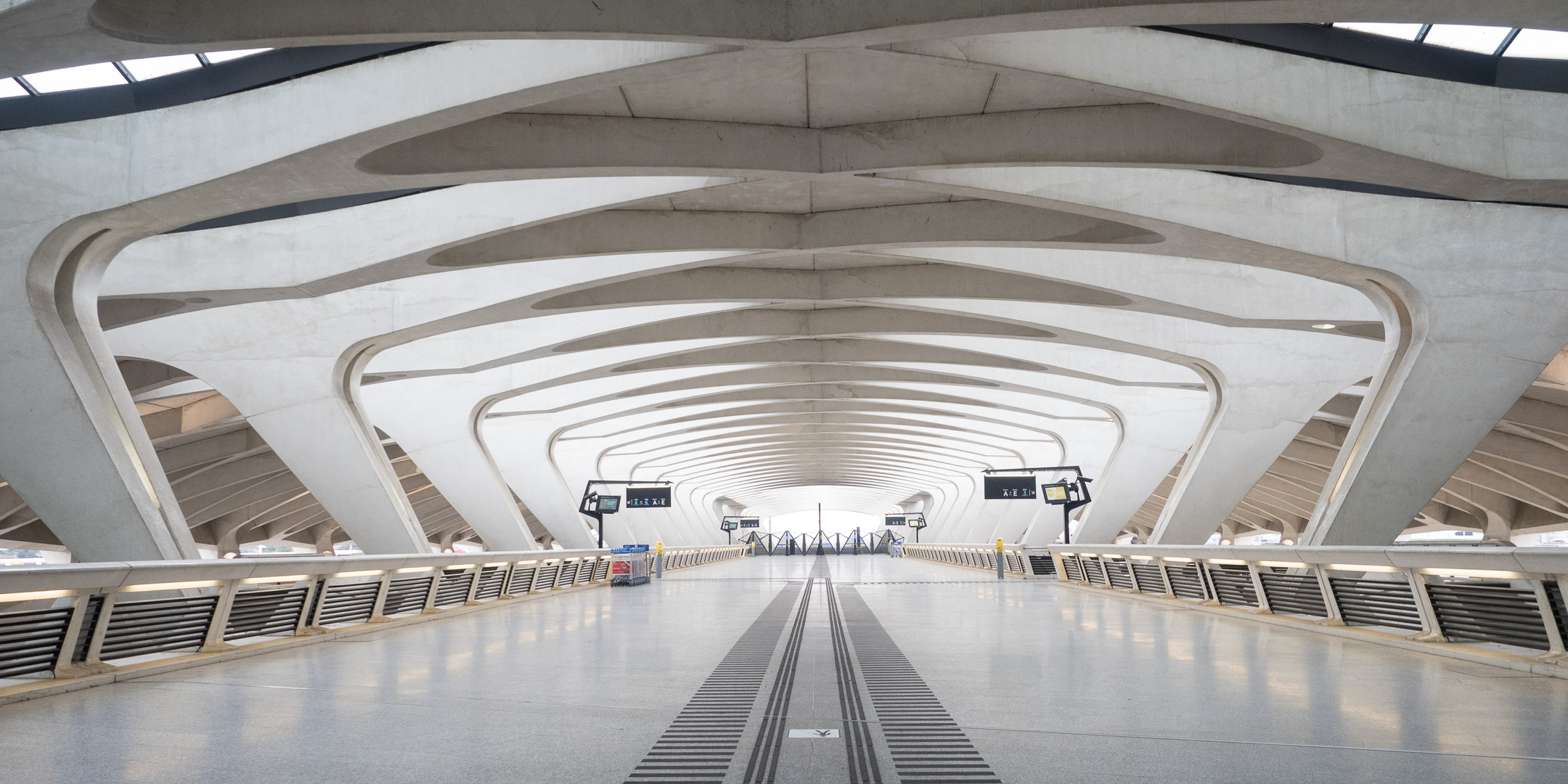 Gare de l'aéroport de Lyon