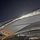 Gare de Liège - Guillemins