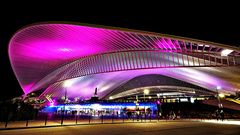 Gare de Liège Guillemins