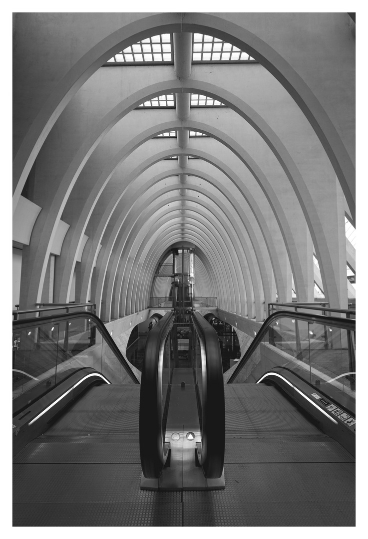 Gare de Liège-Guillemins