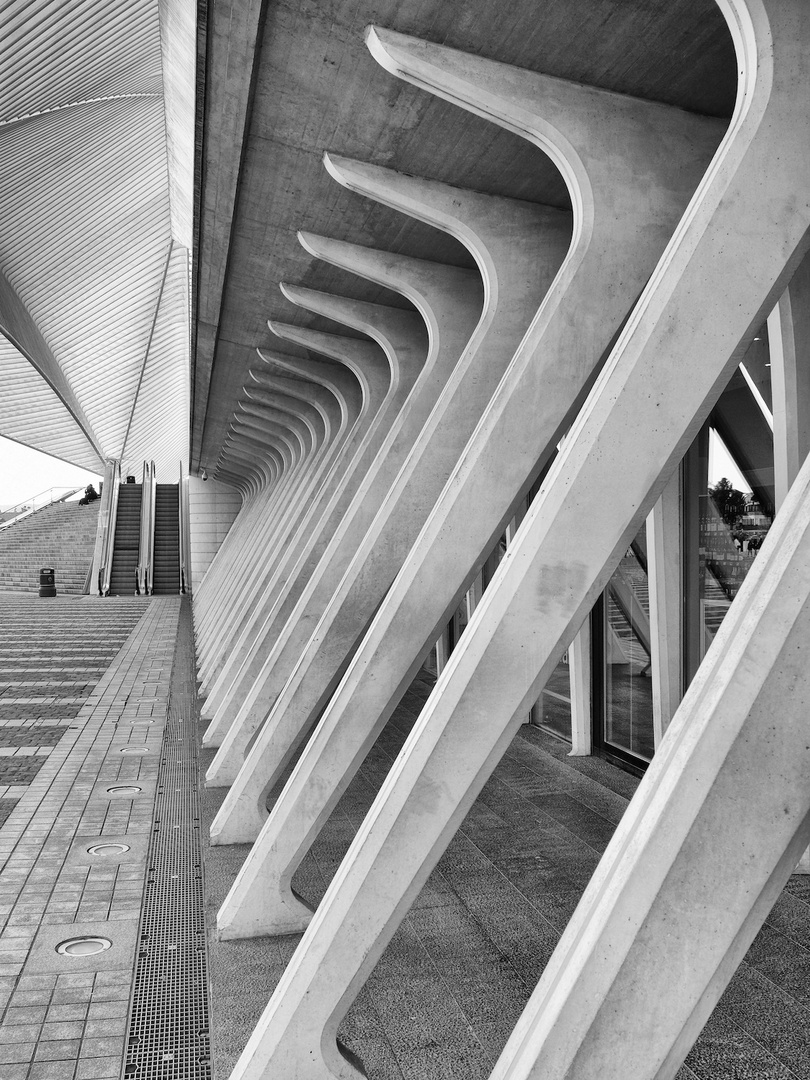 Gare de Liège Guillemins