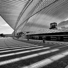  Gare de Liege-Guillemins (2)