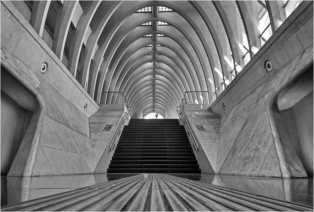 Gare de Liège-Guillemins -2-