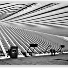 GARE DE LIEGE GUILLEMINS