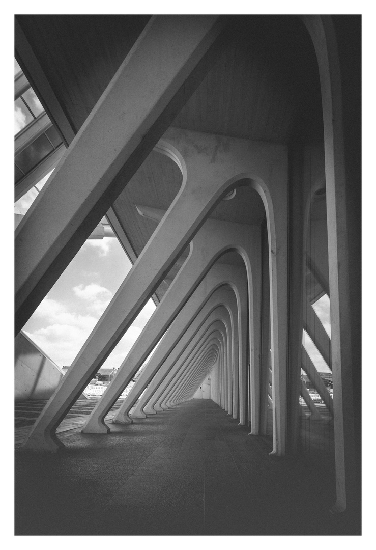 Gare de Liège-Guillemins